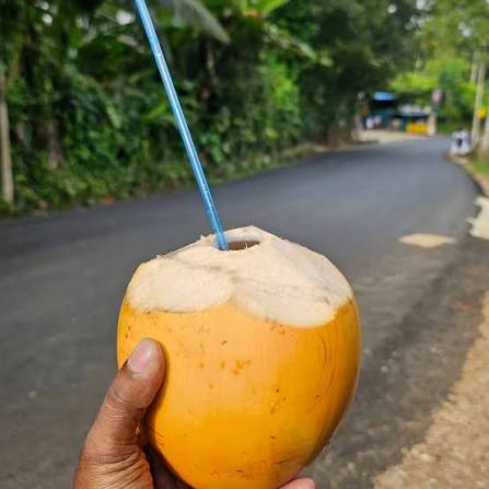 Fresh King Coconuts